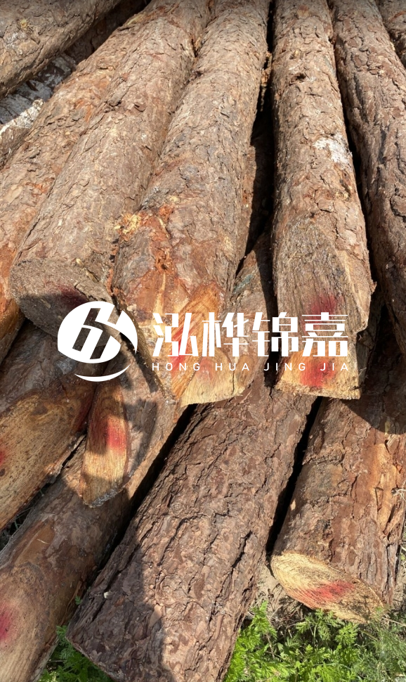 <strong>松木樁和杉木樁的用途區(qū)別？哪個更適合打樁用？</strong>